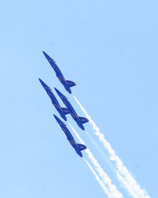 Blue Angels 1d.jpg