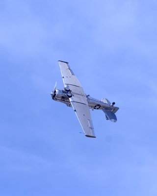 2IMG_4151.jpg