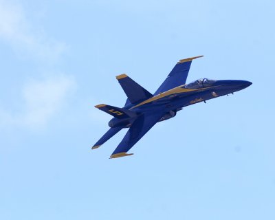 3IMG_4998.jpg