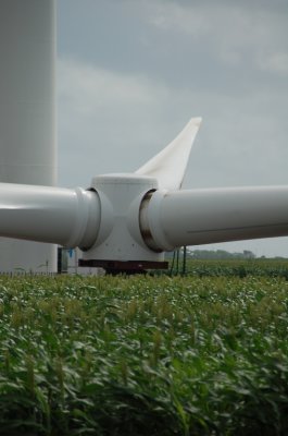 South Texas Wind Farm