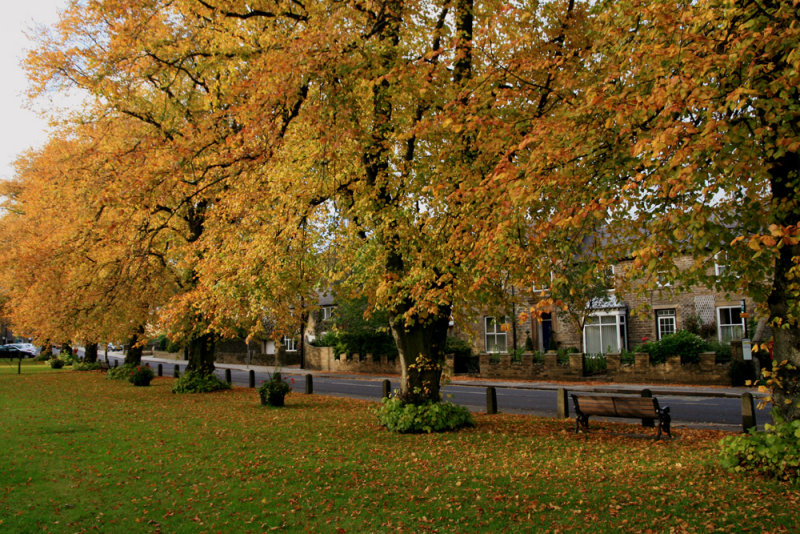 Autumn on the village green