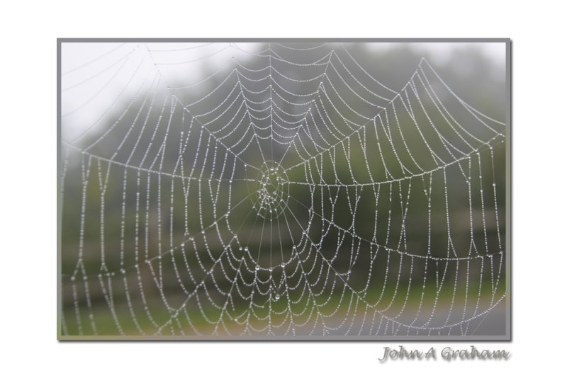 web