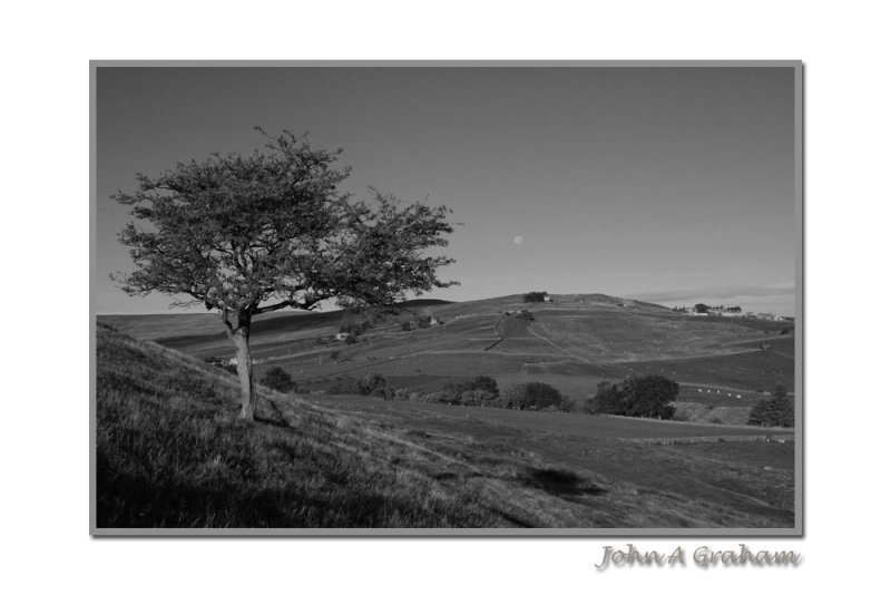 moon over hill end bw