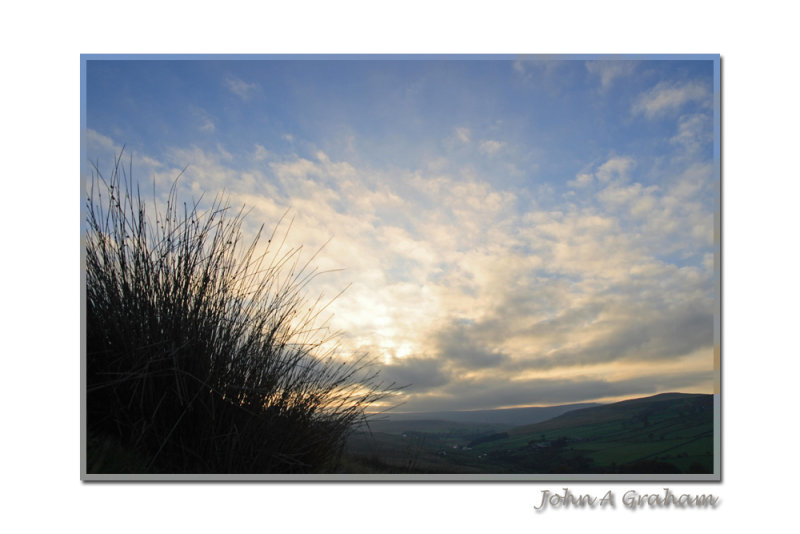 Reed, white and blue