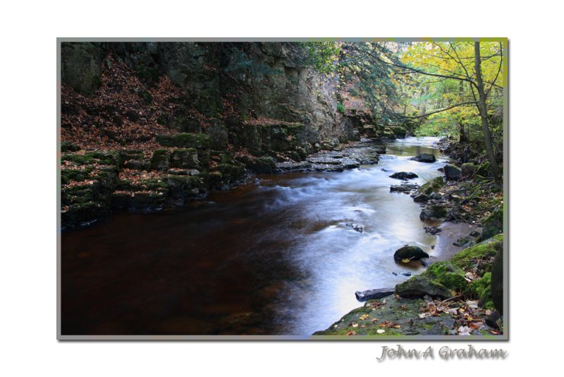 Autumn on the burn