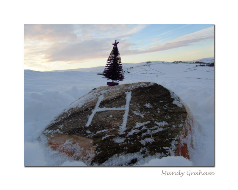 Christmas tree on the Hollypad