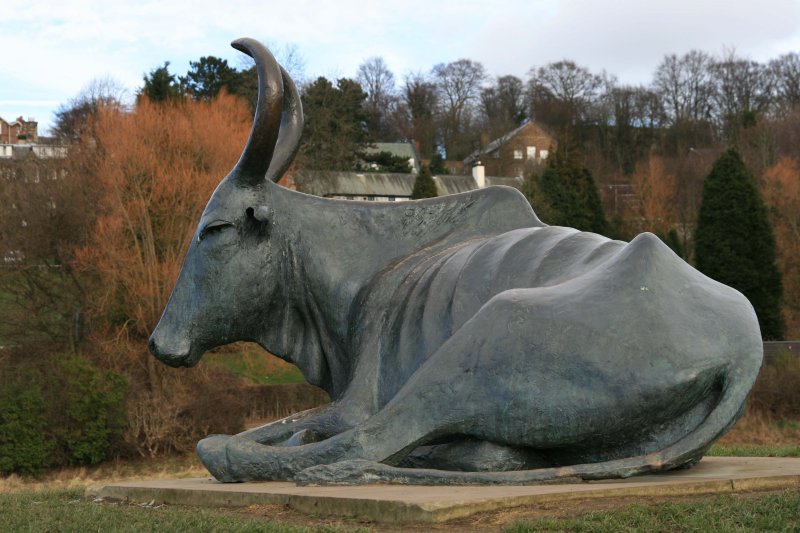 Durham Ox