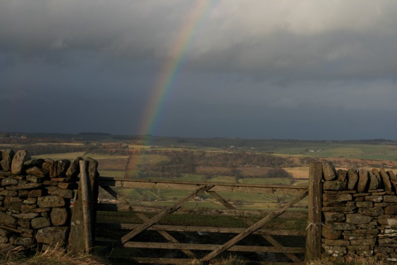 rainbow and gate