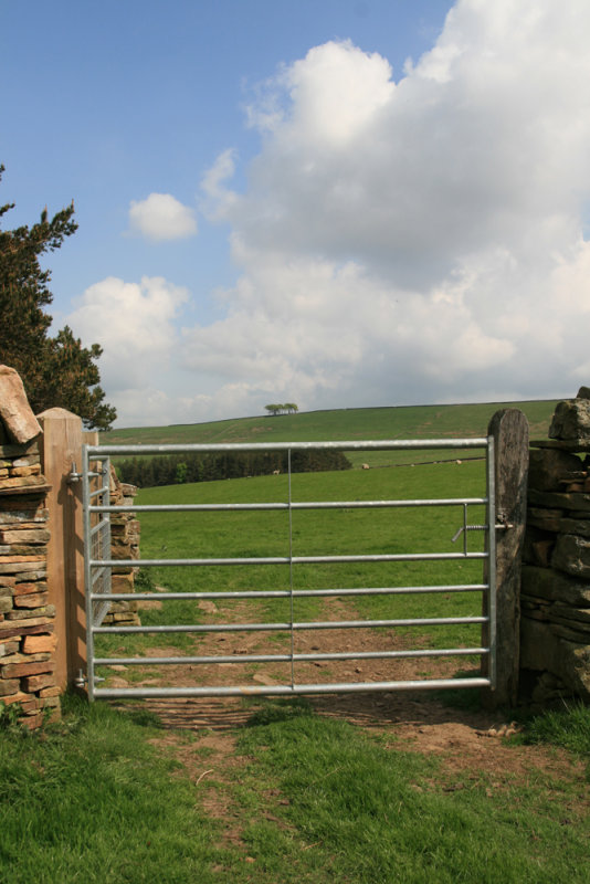 quad gate