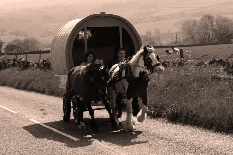 Horse and caravan