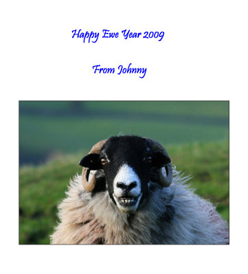 Happy Ewe Year