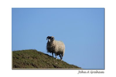 ewe are nearly at the top