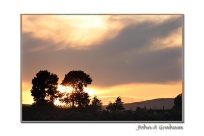 sheepy sunset