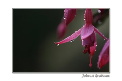 g1/61/523761/3/116544038.A7cgrR1r.jpg