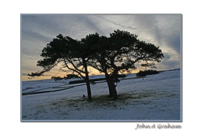 cold morning