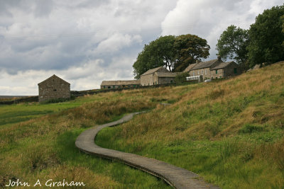 Hannahs Meadow