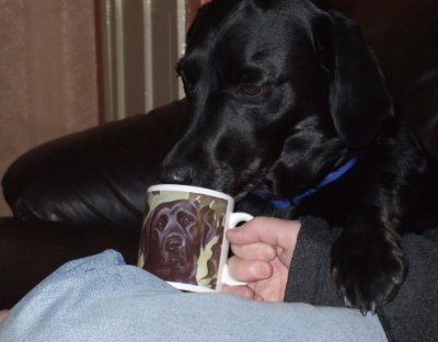 coffee