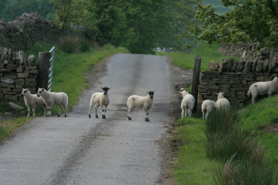 gate security.