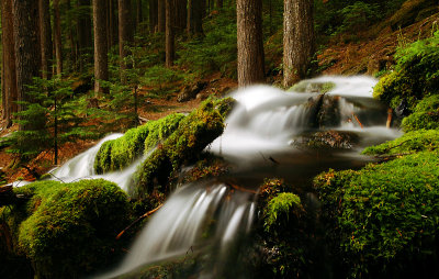 Stream near Pamelia Lake, Study #1