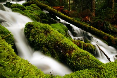 Stream near Pamelia Lake, Study #2