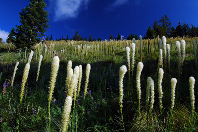 Crescent Mountain