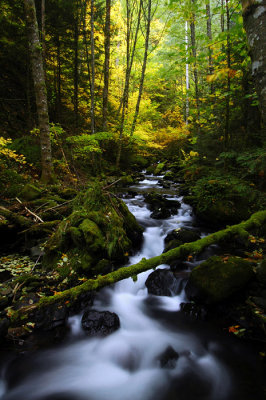 Lindsey Creek, Autumn Study #2