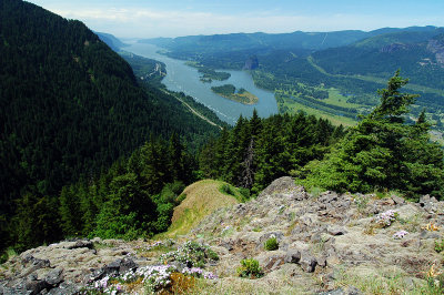 Columbia Gorge from Munra Point, Study 3