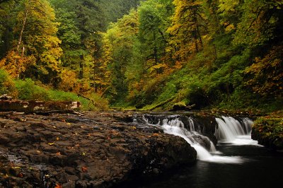 North Fork Silver Creek, Autumn Study #2