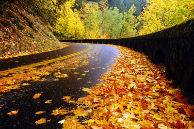 Historic Highway Autumn Study