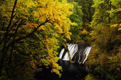 Lower North Falls, Autumn Study #2