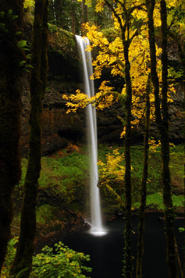 South Falls, Autumn Study #2