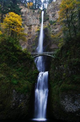 Multnomah Falls, Autumn Study