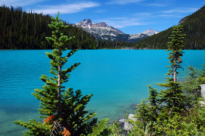 Upper  Joffre Lake, Study 1