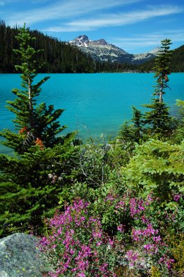 Upper  Joffre Lake, Study 2