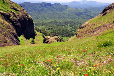 Saddle Mountain, Study #3