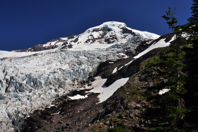 Heliotrope Ridge/Coleman Glacier, Study 1