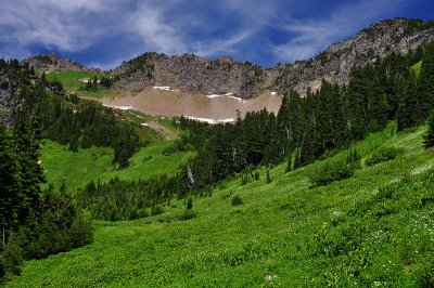 Church Mountain Trail, Meadow Study 1