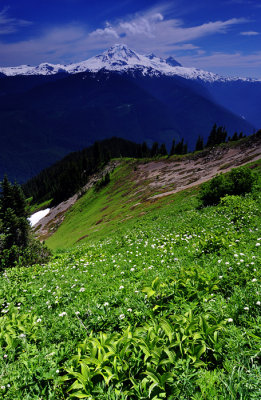 Church Mountain Trail, Upper Study 4