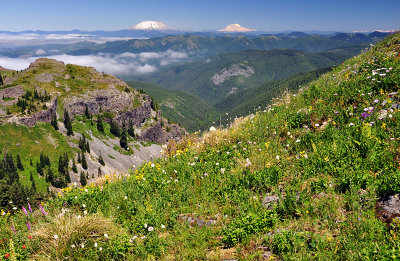 Mount St. Helens and Mount Rainier from Silver Star Summit