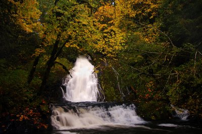Green Peak Falls, Autumn Study