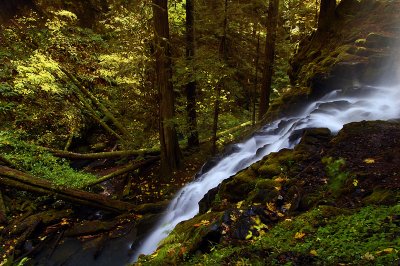 Upper Trestle Creek Falls #3