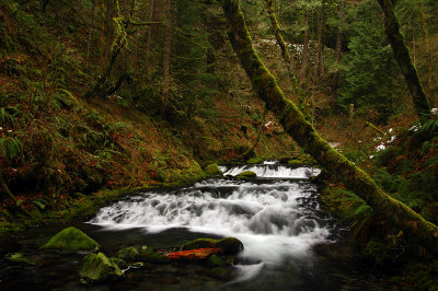 Multnomah Creek #1C