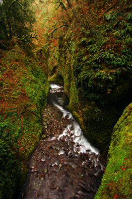 Oneonta Gorge Overlook #2A