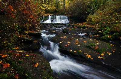 Lower Falls #5