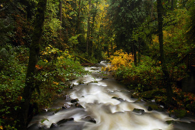 McDowell Creek, Autumn Study #3