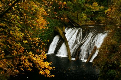 Lower North Falls, Autumn Study #1
