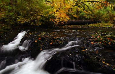North Fork Silver Creek, Autumn Study #3