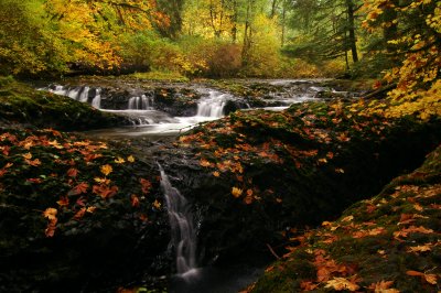 North Fork Silver Creek, Autumn Study #4