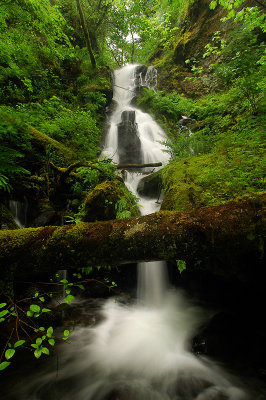 Munra Creek Waterfall #1, Study 2