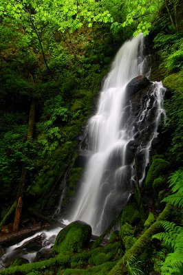Munra Creek Waterfall #2, Study 1